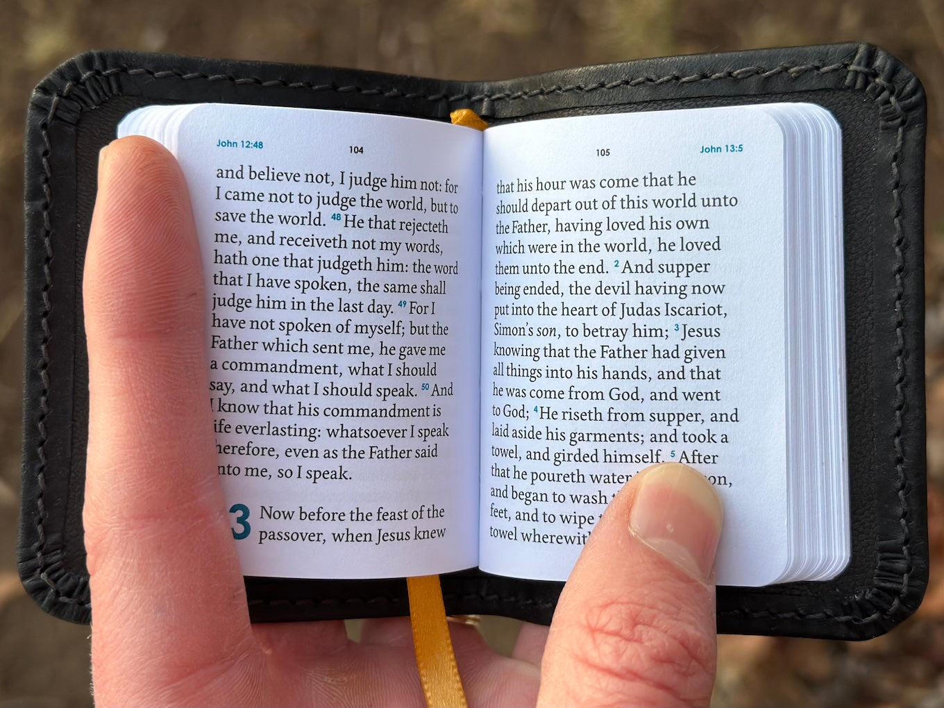 KJV Gospel of John, Black Pueblo Badalassi Carlo