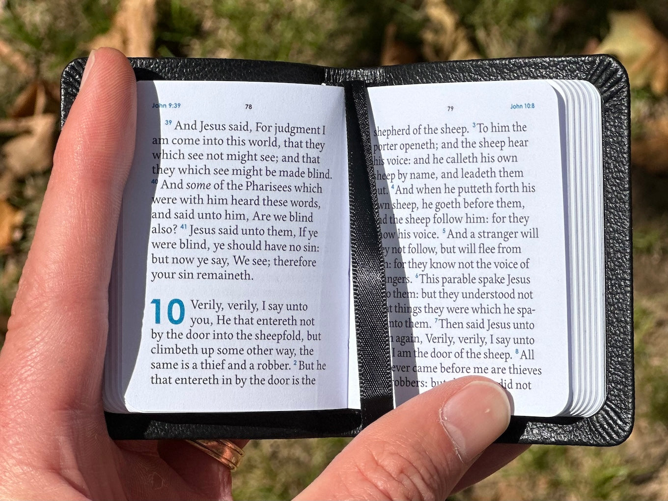 John’s Gospel, Sheepskin KJV