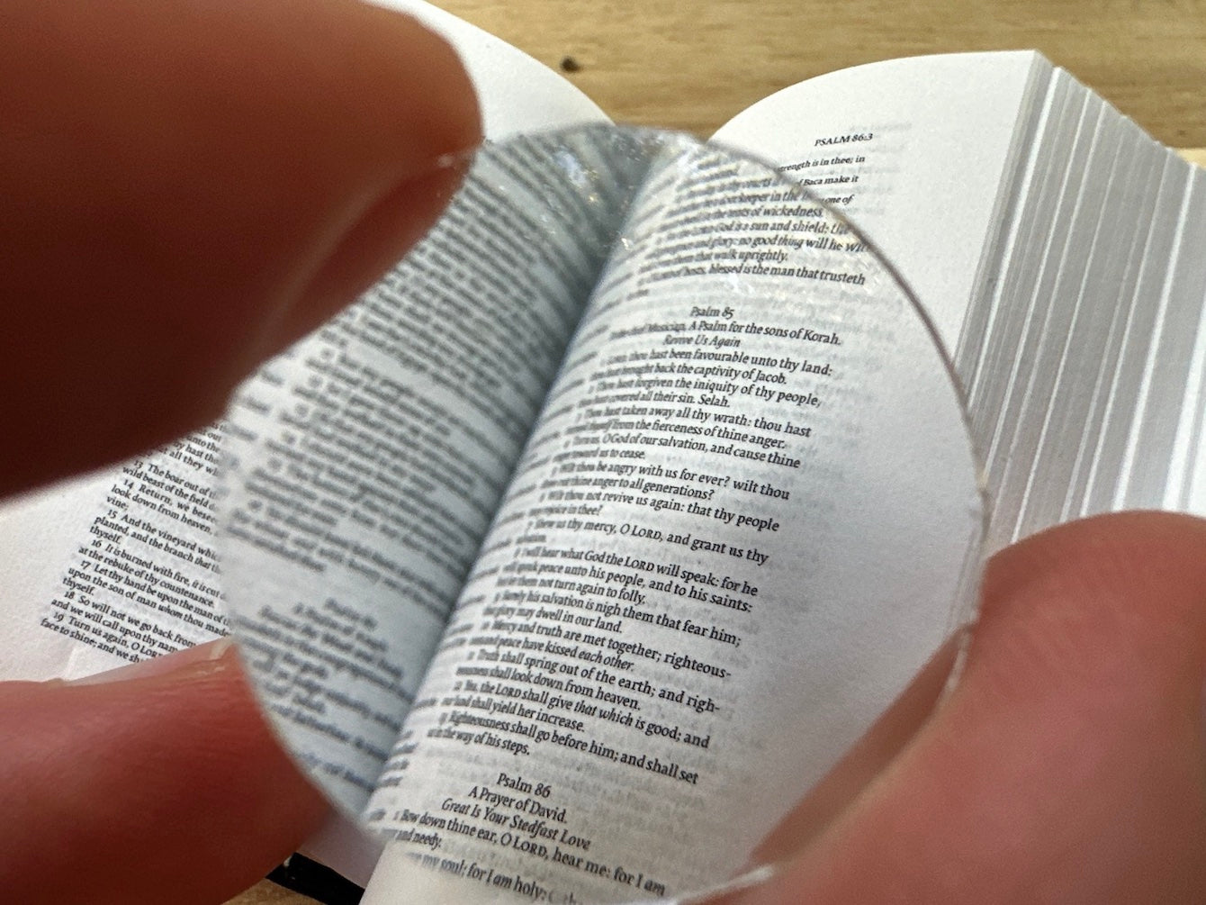 Tiny Bible, Cowhide KJV