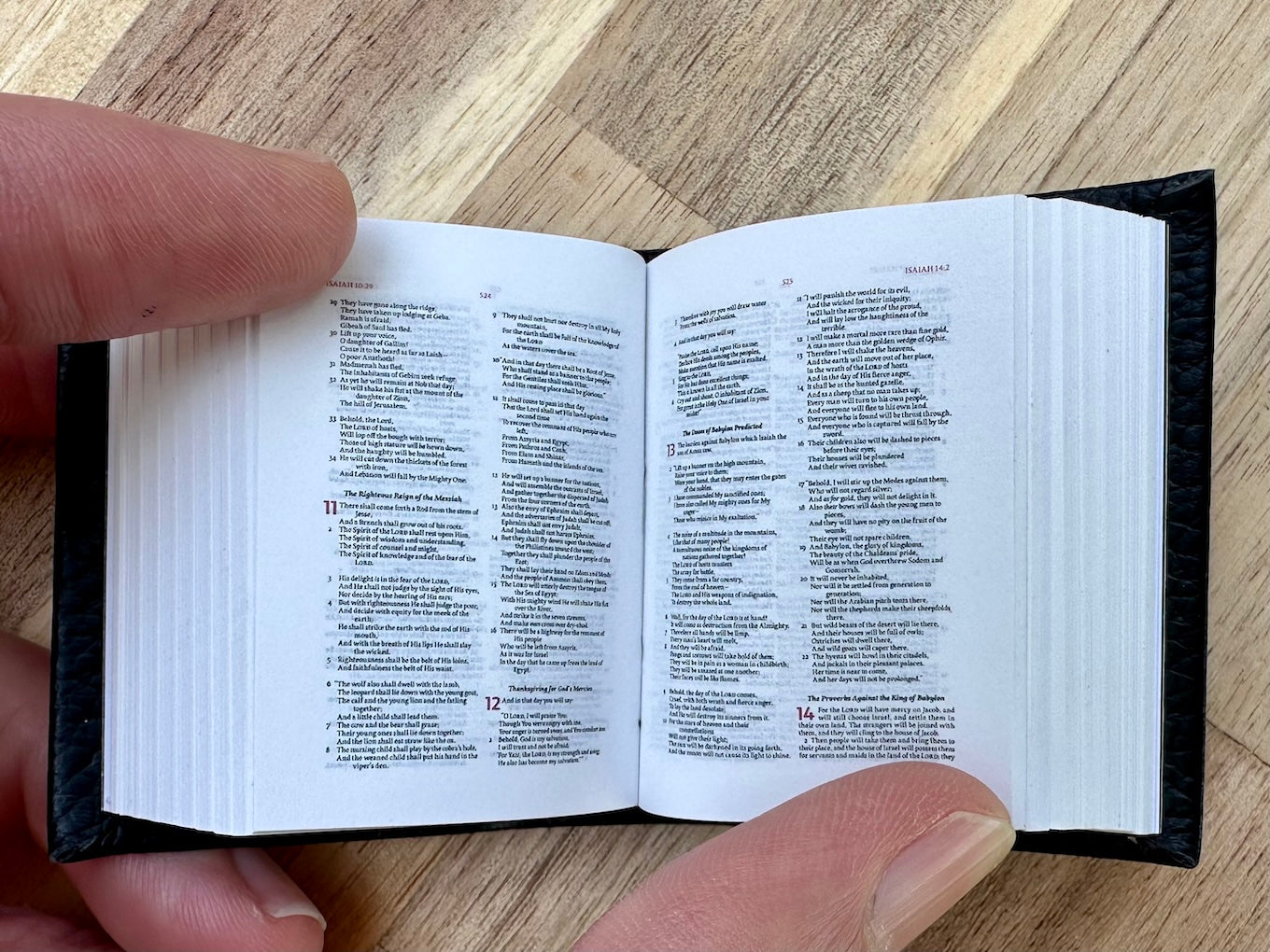 NKJV Tiny Bible open