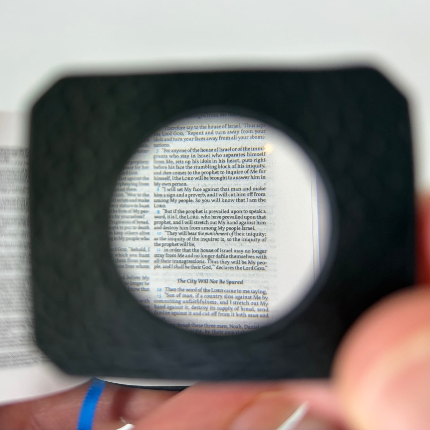 Cowhide Magnifying Glass