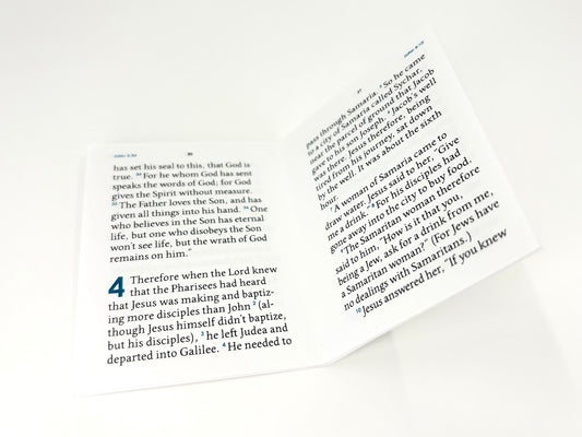 John’s Gospel, DIY-bound WEB