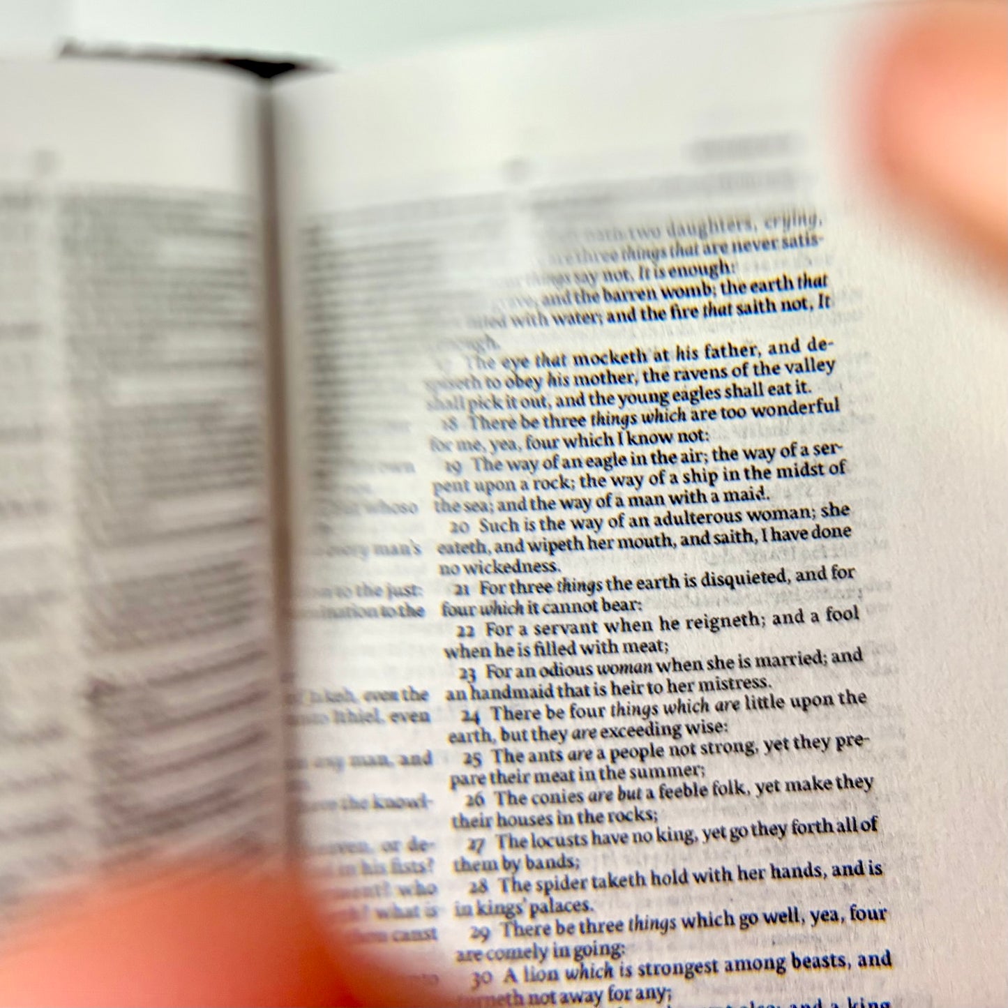 Tiny Bible, Cowhide KJV