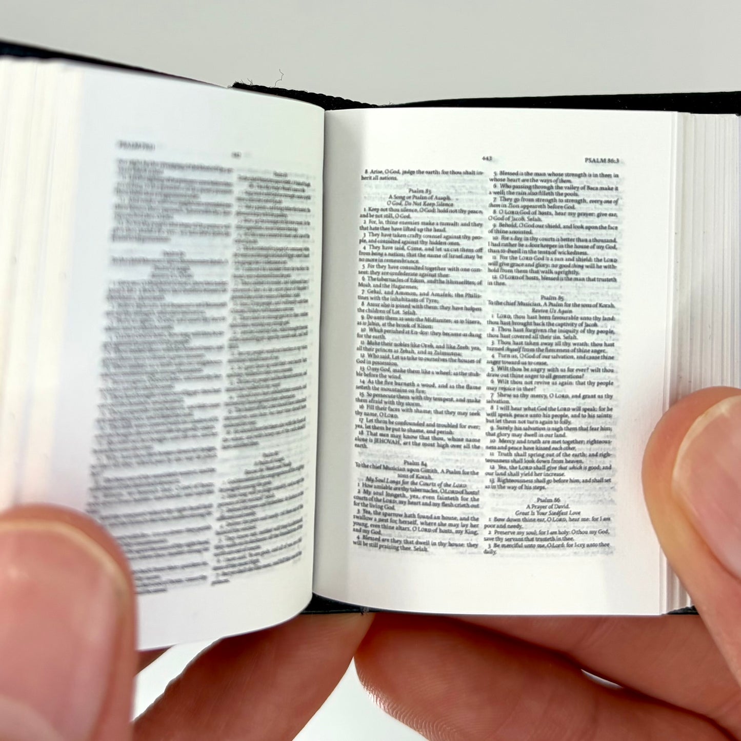 Tiny Bible, Cowhide KJV