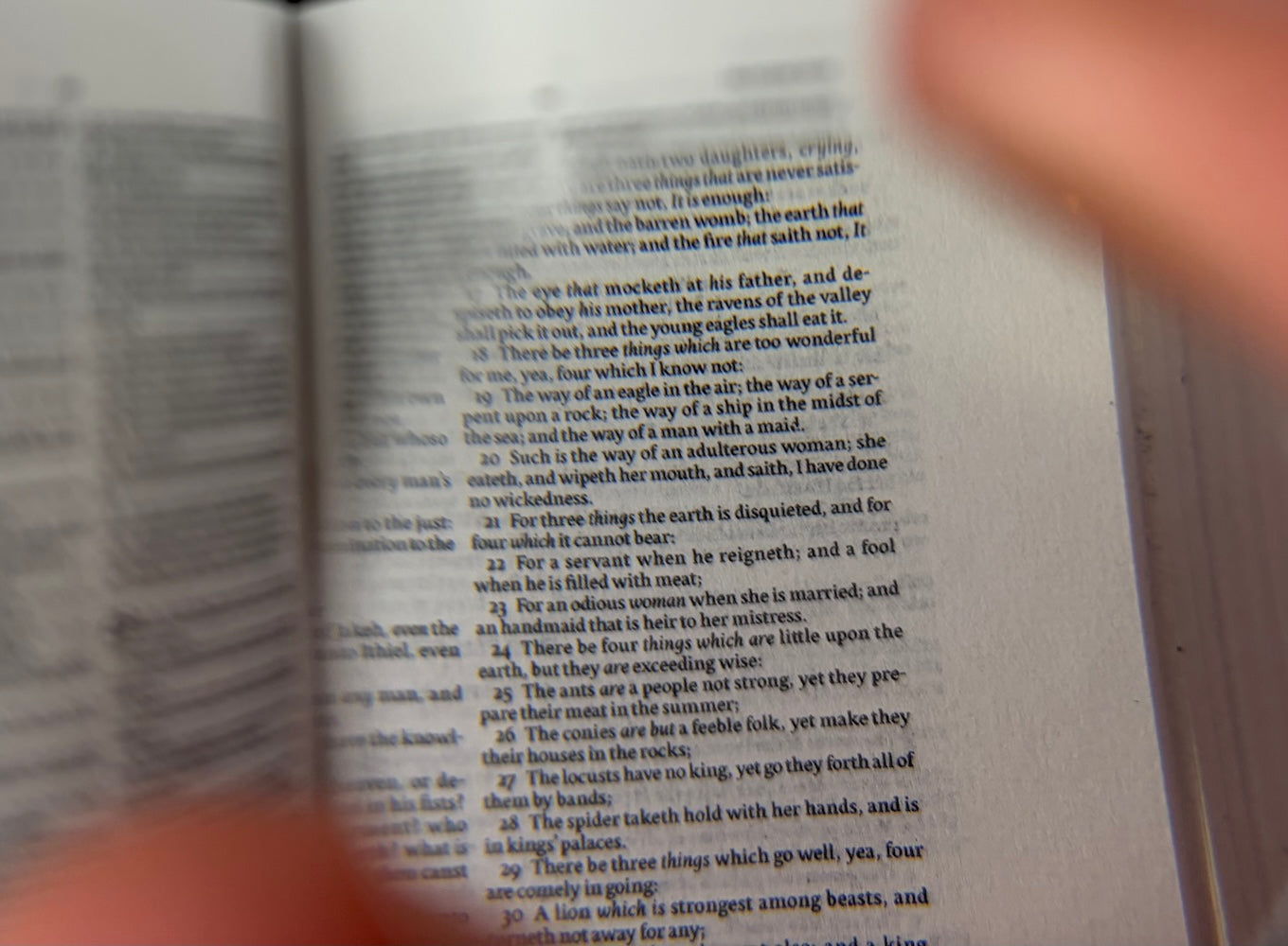 Tiny Bible, Cowhide KJV