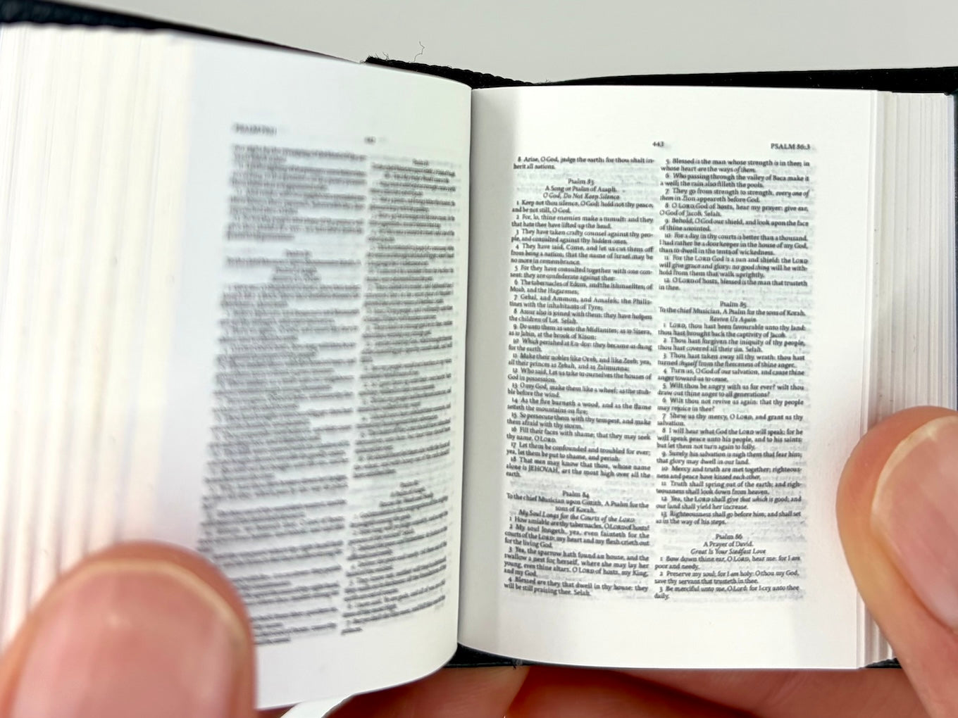 Tiny Bible, Cowhide KJV