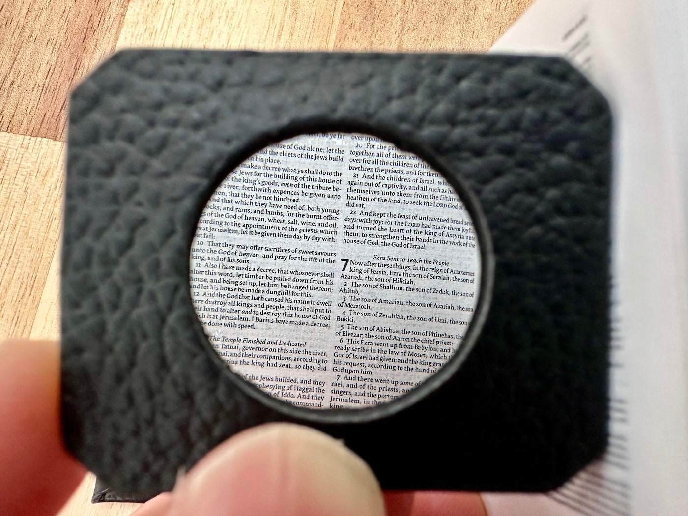 Cowhide Magnifying Glass