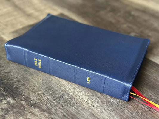 LSB Handy Size, Marine River Grain Goatskin