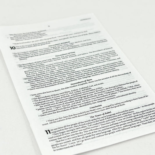 Pocket Size NLT Sample Page