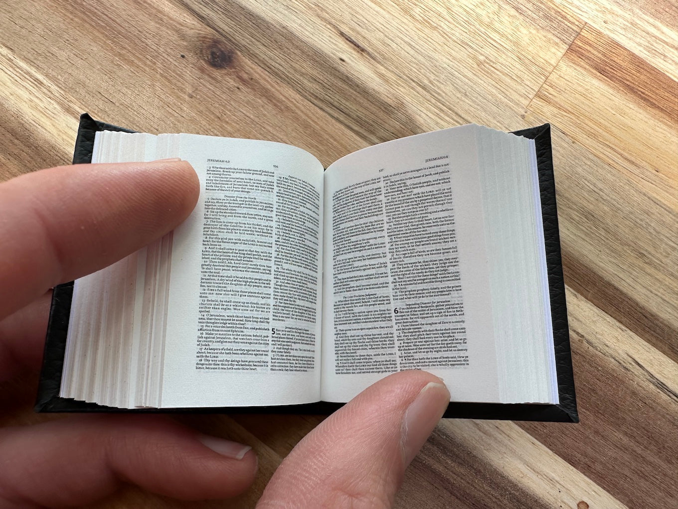 Tiny Bible opened to Jeremiah 5 & 6