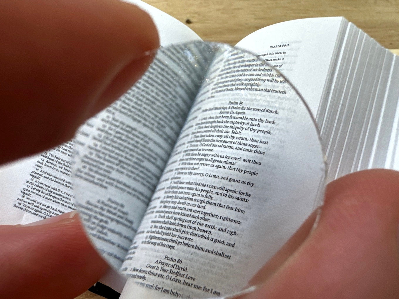 The magnifying glass lens that comes with Tiny Bible