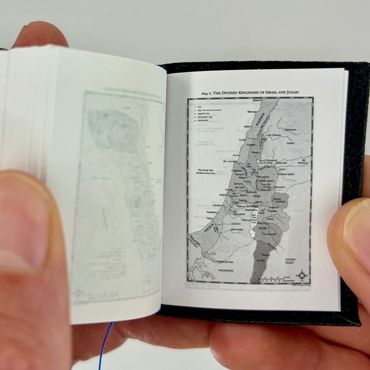 Tiny Bible, Sheepskin NASB 1995